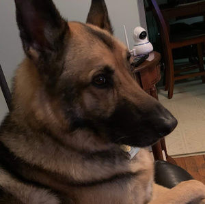 Meet your Posher, Jeanne